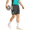 adidas FC Liverpool European Trainingsshorts 2025/26 Herren