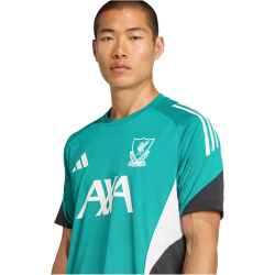 adidas FC Liverpool European Trainingstrikot 2025/26 Herren