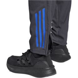 adidas Olympique Lyon Präsentationshose 2025/26 Herren