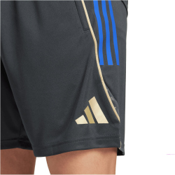 adidas Olympique Lyon Trainingsshorts 2025/26 Herren
