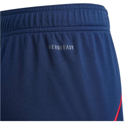 adidas Olympique Lyon Auswärtsshorts 2025/26 Kinder
