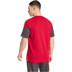 adidas FC Liverpool T-Shirt 2025/26 Herren
