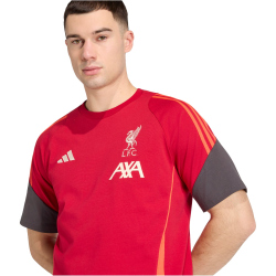adidas FC Liverpool T-Shirt 2025/26 Herren