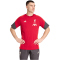 adidas FC Liverpool T-Shirt 2025/26 Herren