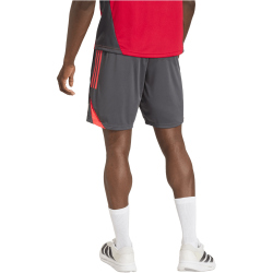 adidas FC Liverpool Trainingsshorts 2025/26 Herren