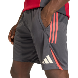 adidas FC Liverpool Trainingsshorts 2025/26 Herren