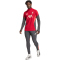 adidas FC Liverpool Trainings-Sweatshirt 2025/26 Herren