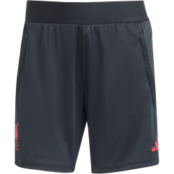 adidas FC Liverpool Trainingsshorts 2025/26 Damen