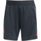 adidas FC Liverpool Trainingsshorts 2025/26 Damen
