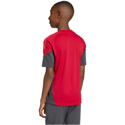 adidas FC Liverpool Competition Trainingstrikot 2025/26 Kinder