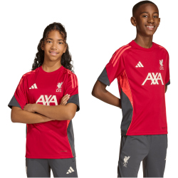 adidas FC Liverpool Competition Trainingstrikot 2025/26 Kinder