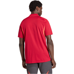 adidas FC Liverpool Competition Poloshirt 2025/26 Herren