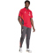 adidas FC Liverpool Competition Poloshirt 2025/26 Herren