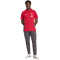 adidas FC Liverpool Competition Poloshirt 2025/26 Herren