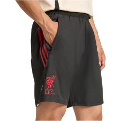adidas FC Liverpool Downtime Sweatshorts 2025/26 Herren