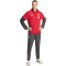 adidas FC Liverpool Präsentationshose 2025/26 Herren