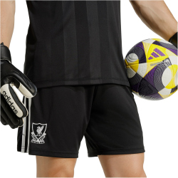 adidas Originals FC Liverpool Ausweich Torwartshorts 2025/26 Herren