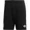 adidas Originals FC Liverpool Ausweich Torwartshorts 2025/26 Herren