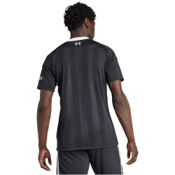 adidas Originals FC Liverpool Ausweich Torwarttrikot 2025/26 Herren