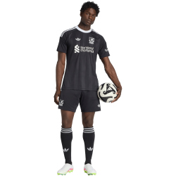 adidas Originals FC Liverpool Ausweich Torwarttrikot 2025/26 Herren