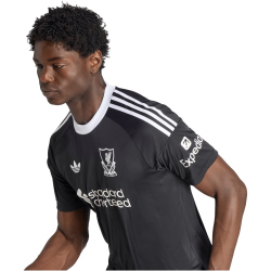 adidas Originals FC Liverpool Ausweich Torwarttrikot 2025/26 Herren