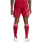 adidas FC Liverpool Heimshorts 2025/26 Herren