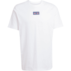 adidas FC Bayern München SZN Graphic T-Shirt 2025/26 Herren