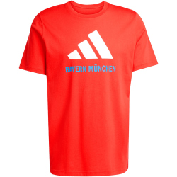 adidas FC Bayern München SZN Graphic T-Shirt 2025/26 Herren