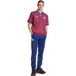 adidas FC Bayern München LFSTLR Trikot 2025/26 Herren