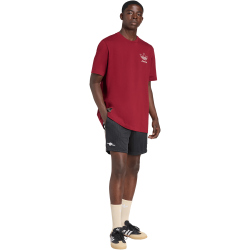 adidas Originals FC Arsenal Icon Trainingsshorts 2025/26 Herren
