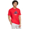 adidas FC Arsenal SZN Graphic T-Shirt 2025/26 Herren