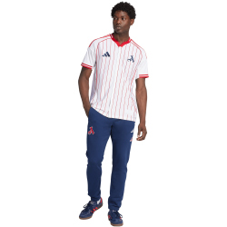 adidas FC Arsenal USA Baseball T-Shirt 2025/26 Herren