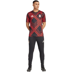 adidas SL Benfica Lissabon Aufwärmshirt 2025/26 Herren