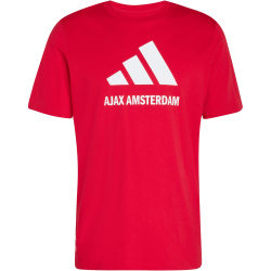 adidas Ajax Amsterdam SZN Graphic T-Shirt 2025/26 Herren