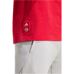 adidas Ajax Amsterdam SZN Graphic T-Shirt 2025/26 Herren