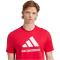 adidas Ajax Amsterdam SZN Graphic T-Shirt 2025/26 Herren