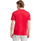 adidas Ajax Amsterdam SZN Graphic T-Shirt 2025/26 Herren
