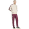 adidas Originals Ajax Amsterdam Icon Trainingsjacke 2025/26 Herren