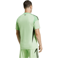 adidas FC Liverpool Torwarttrikot 2025/26 Herren
