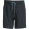 adidas Originals FC Liverpool Icon Trainingsshorts 2025/26 Herren