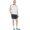 adidas Originals FC Liverpool Icon Trikot 2025/26 Herren