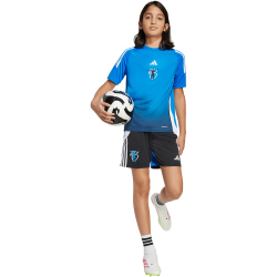adidas Jude Bellingham Trainingsshorts Kinder