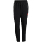 adidas FC Liverpool Competition Vis Tech Trainingshose 2025/26 Herren JZ5557 - black/Strawberry Red XS