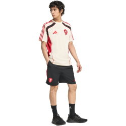 adidas FC Liverpool UBP Trainingsshorts 2025/26 Herren...