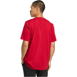 adidas FC Liverpool SZN Graphic T-Shirt 2025/26 Herren...