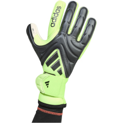 adidas Copa Pro Torwarthandschuhe JN5334 -...