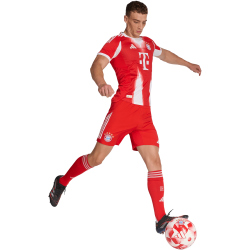 adidas FC Bayern München Authentic Heimtrikot...