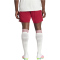 adidas Originals FC Arsenal Ausweichshorts 2025/26 Herren JI9553 - team coll burgundy 2/cloud white XS