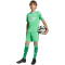 adidas Originals FC Arsenal Ausweich Torwartshorts 2025/26 Kinder JI9534 - semi screaming green/white 128