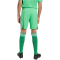 adidas Originals FC Arsenal Ausweich Torwartshorts 2025/26 Kinder JI9534 - semi screaming green/white 128
